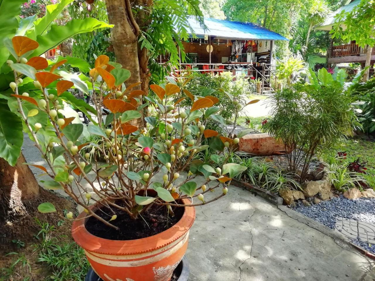 Macura Resort Koh Chang Exterior photo